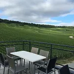 Dans Les Vignes Chamery
