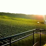 Hotel Dans Les Vignes