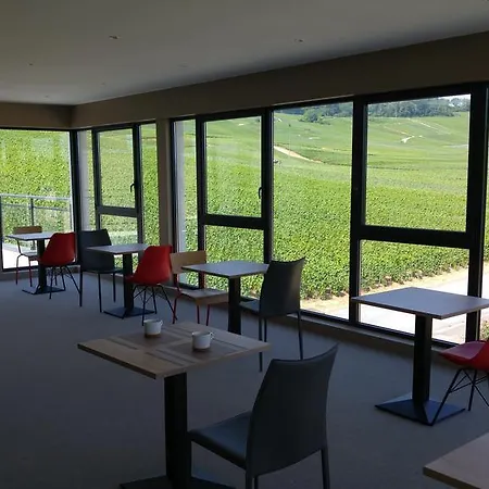 Dans Les Vignes *