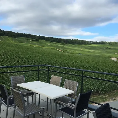 Dans Les Vignes Chamery