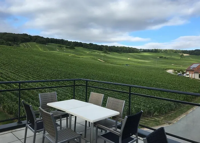 Dans Les Vignes Chamery