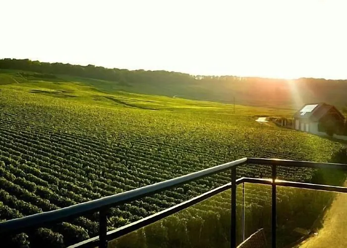 Hotel Dans Les Vignes